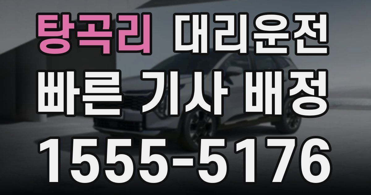 일일대리기사
