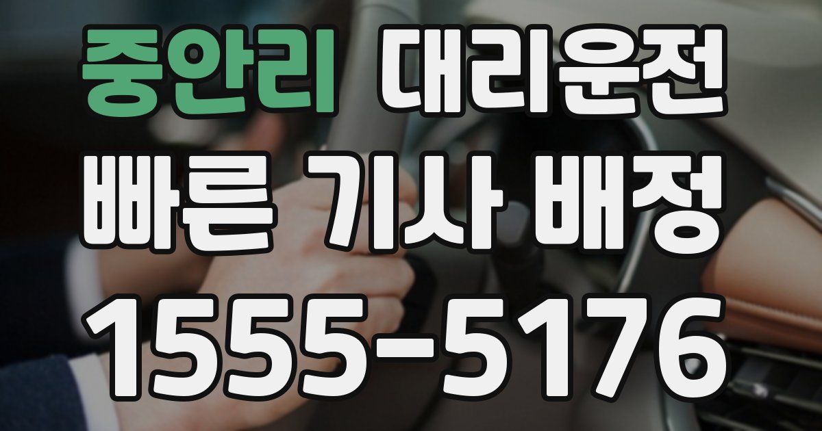 일일대리기사