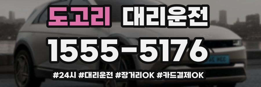 도고리 대리운전
