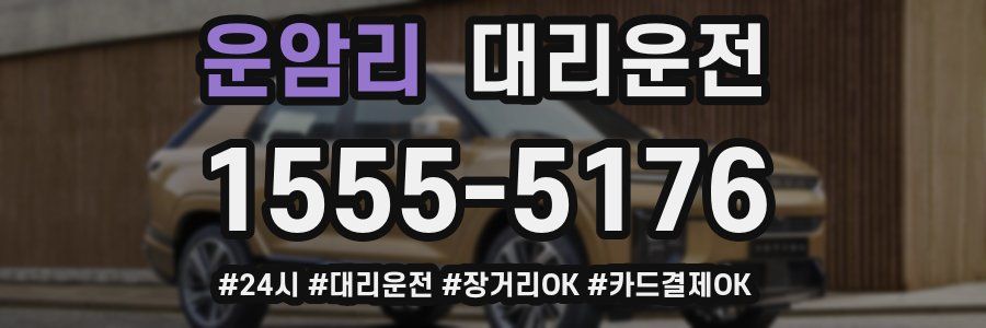 운암리 대리운전