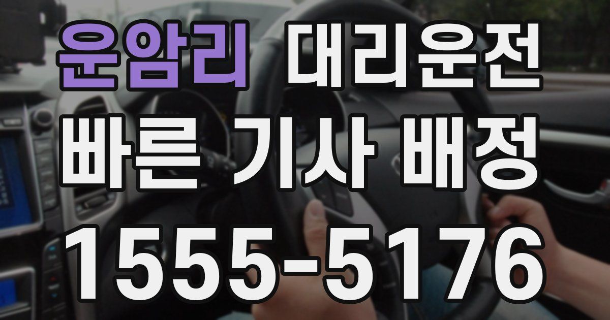 일일대리기사