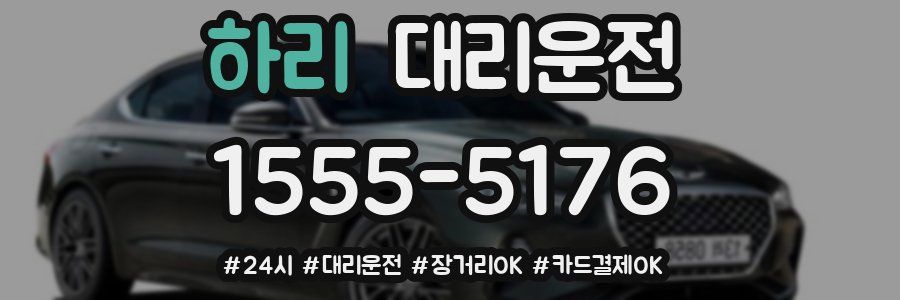 하리 대리운전