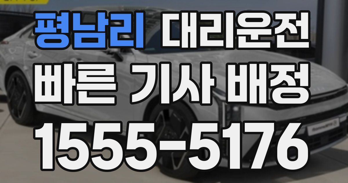일일대리기사