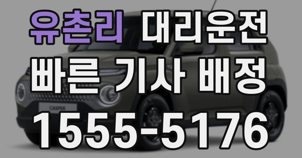 일일대리기사