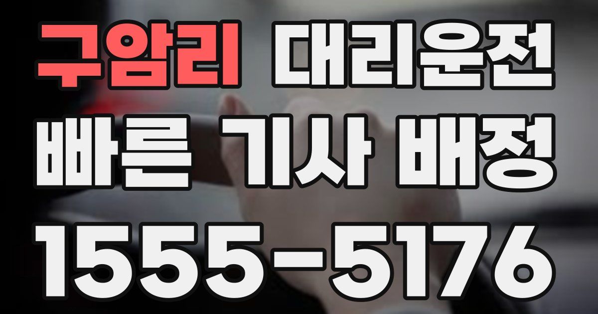 일일대리기사