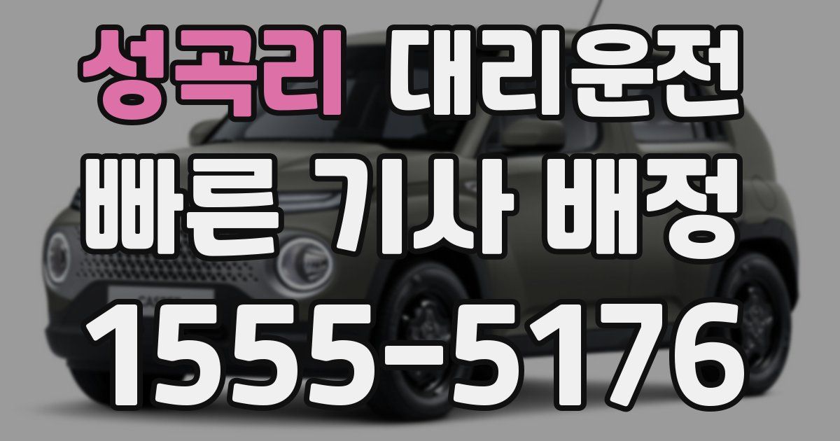 일일대리기사