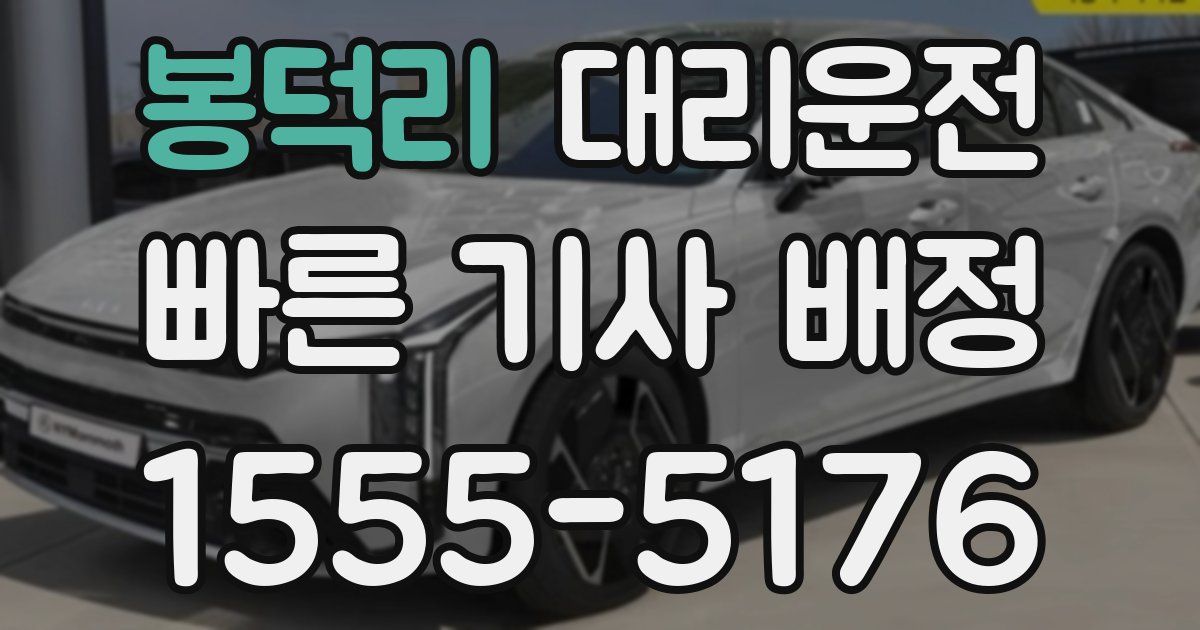 일일대리기사