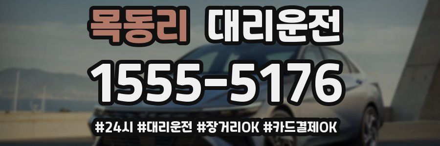 목동리 대리운전