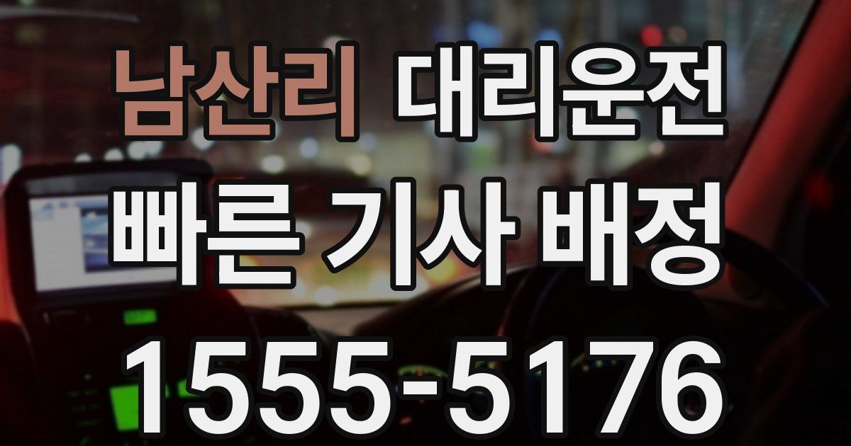 일일대리기사