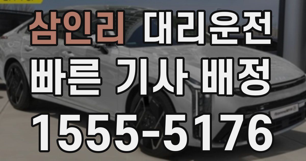 일일대리기사
