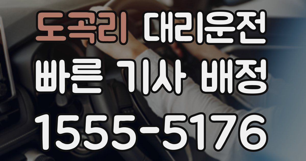 일일대리기사