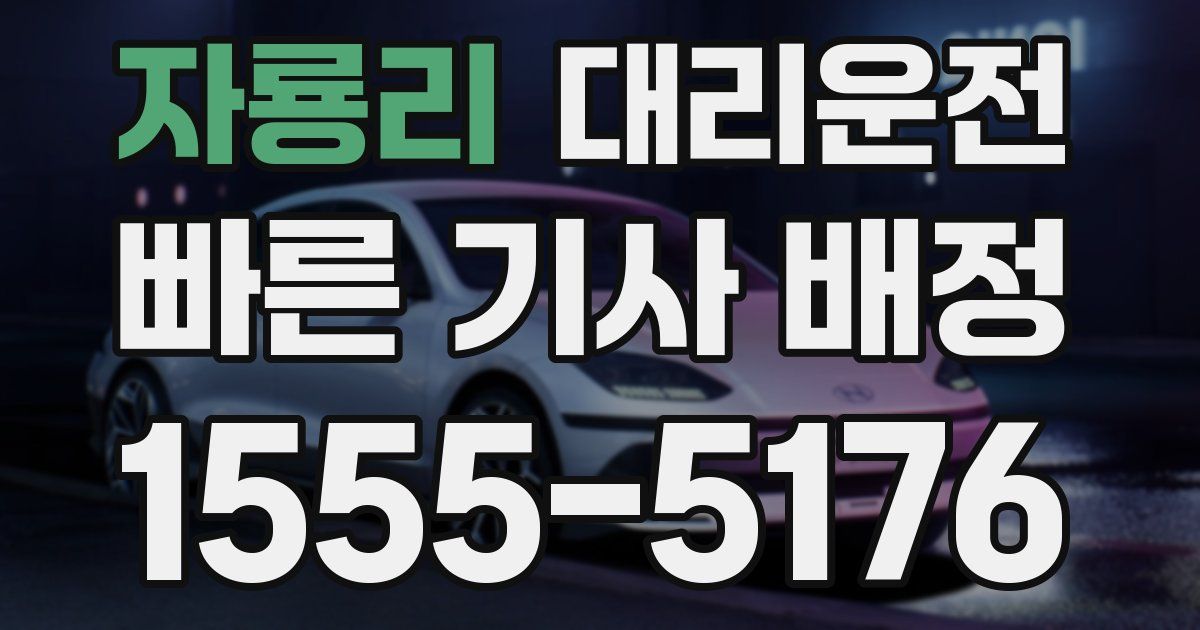일일대리기사