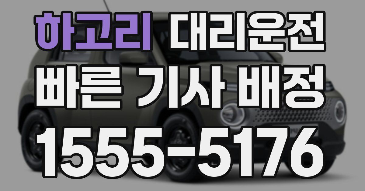 일일대리기사