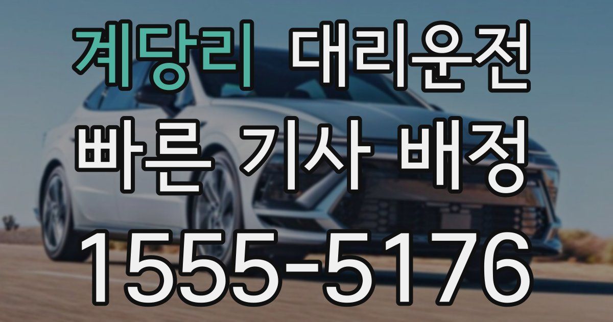 일일대리기사