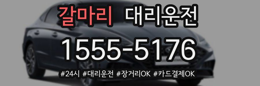 갈마리 대리운전