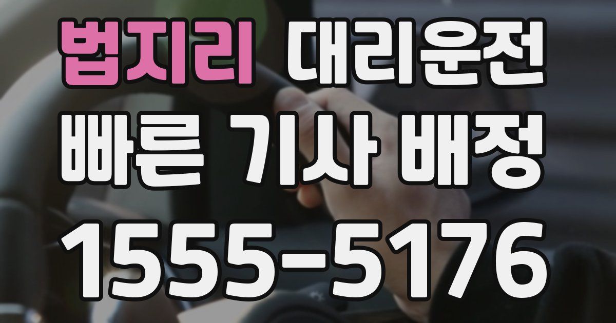 일일대리기사