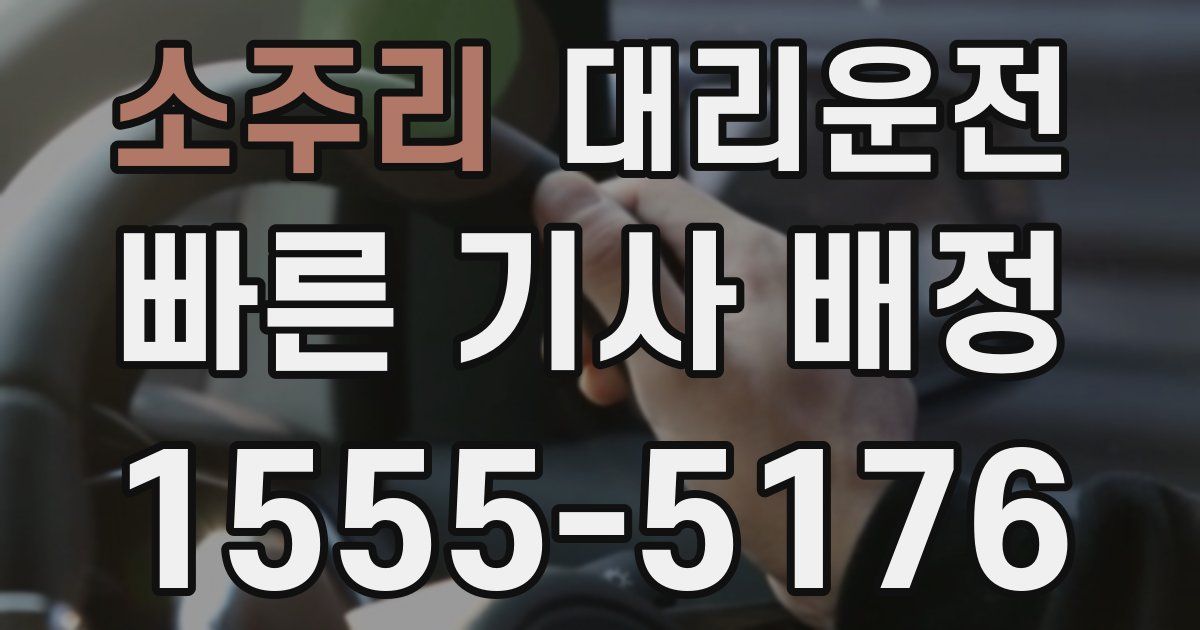 일일대리기사