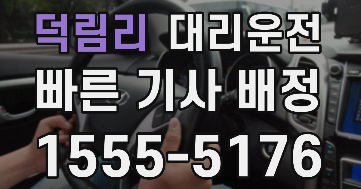 일일대리기사