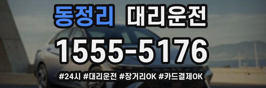 동정리 대리운전