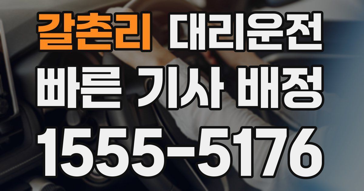 일일대리기사
