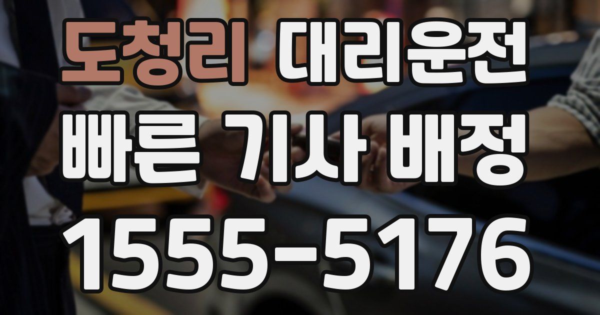 일일대리기사