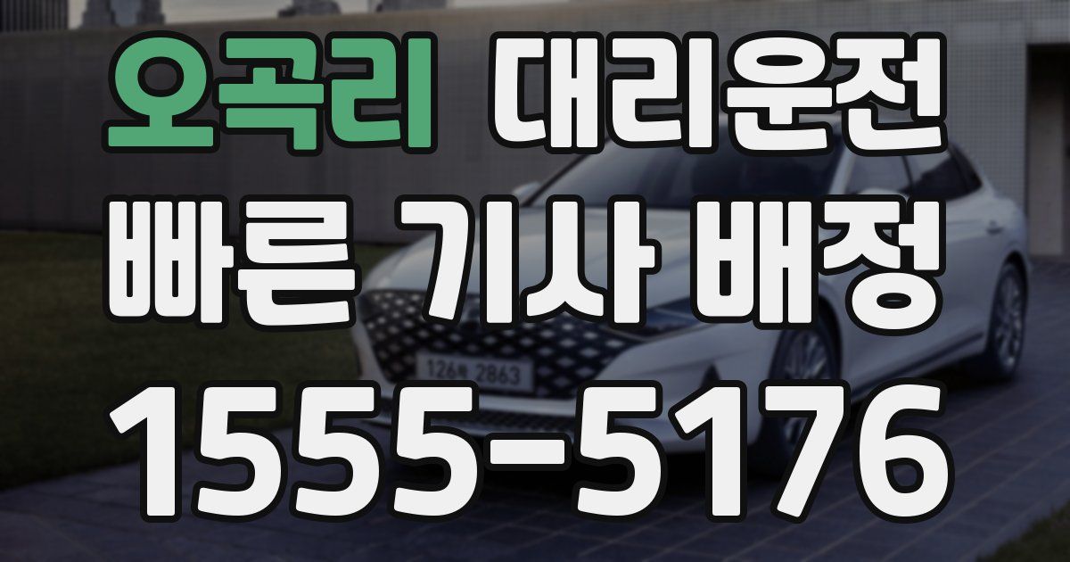 일일대리기사