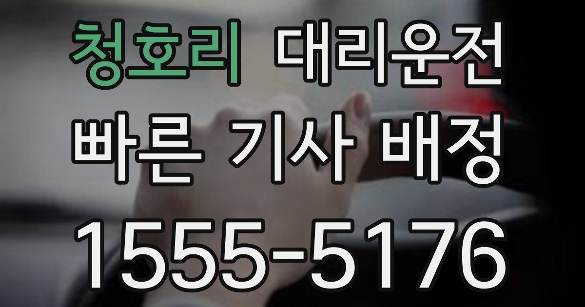 일일대리기사