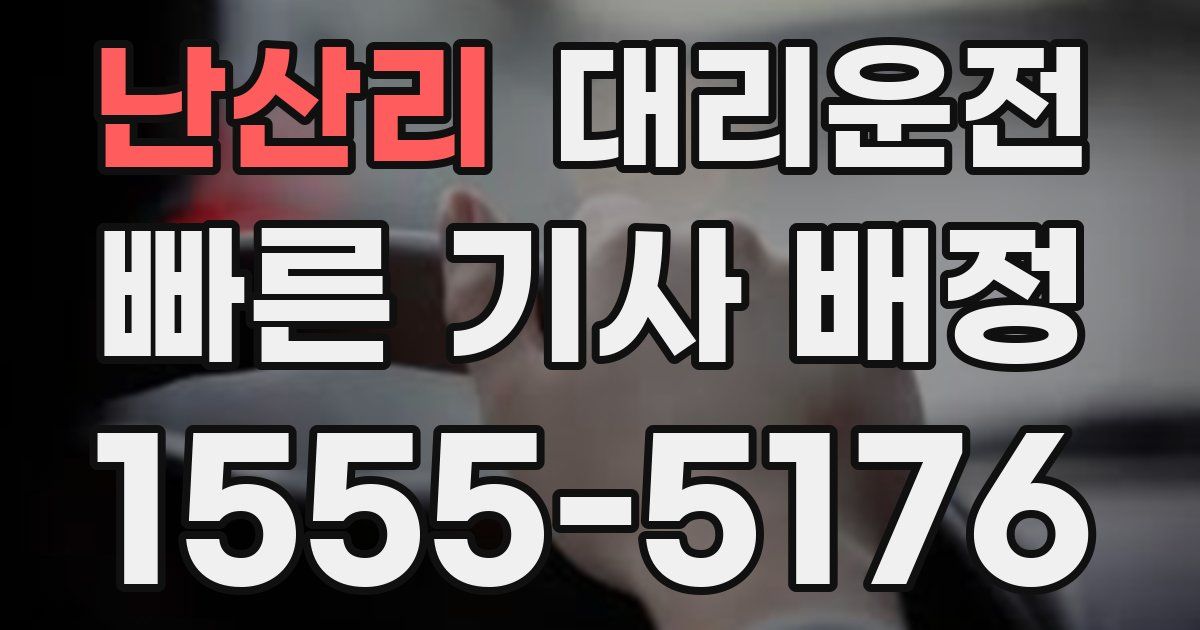 일일대리기사
