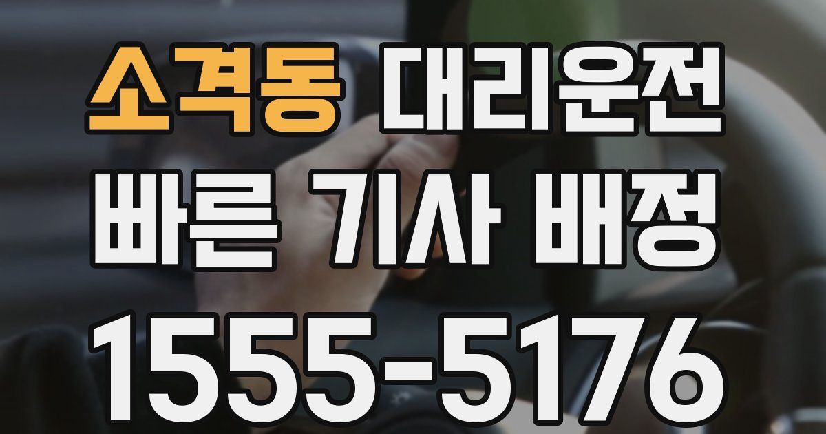 일일대리기사