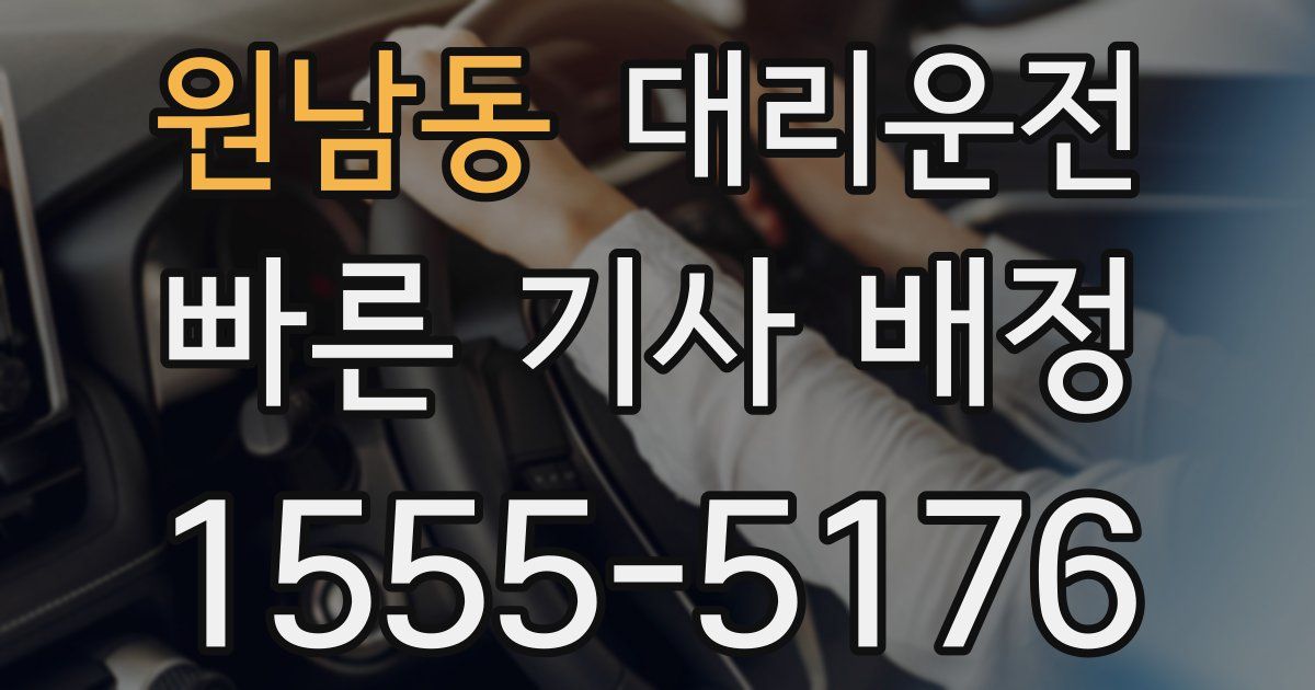 일일대리기사