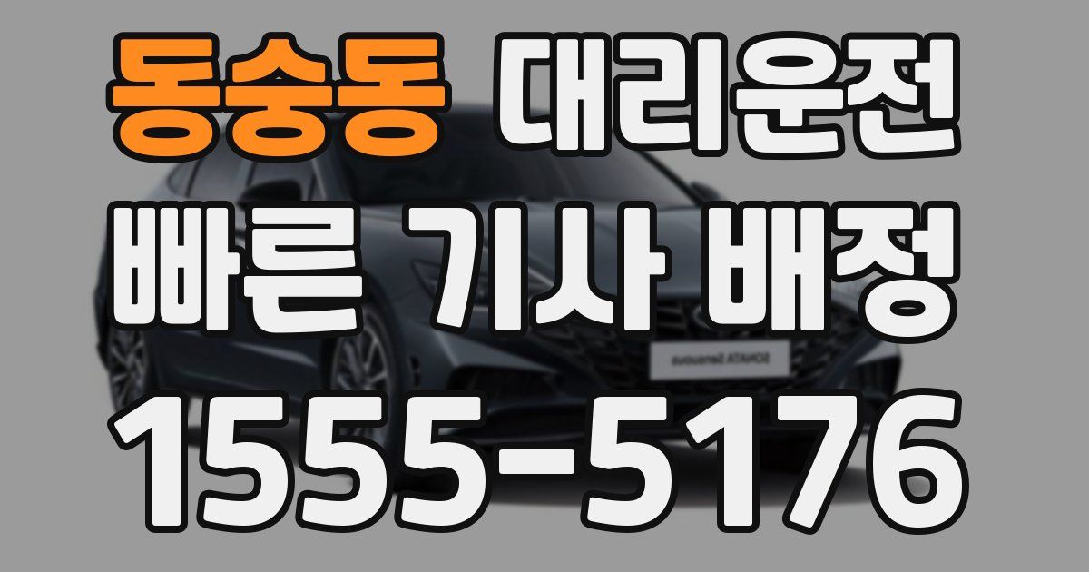 일일대리기사