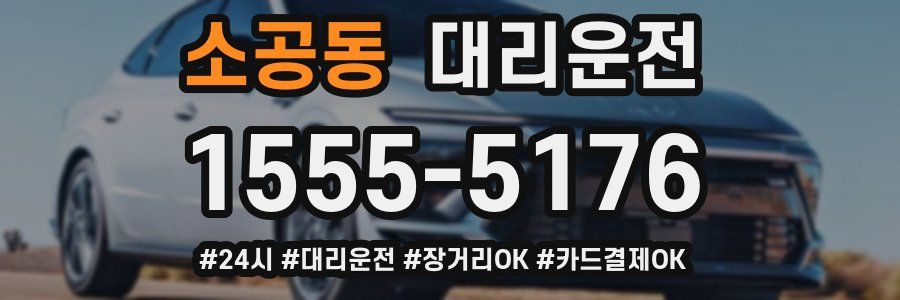 소공동 대리운전