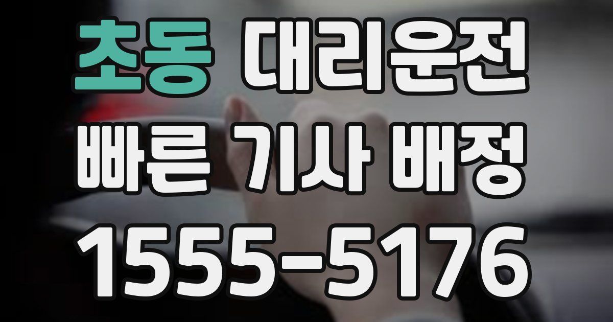 일일대리기사