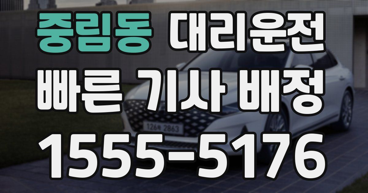 일일대리기사