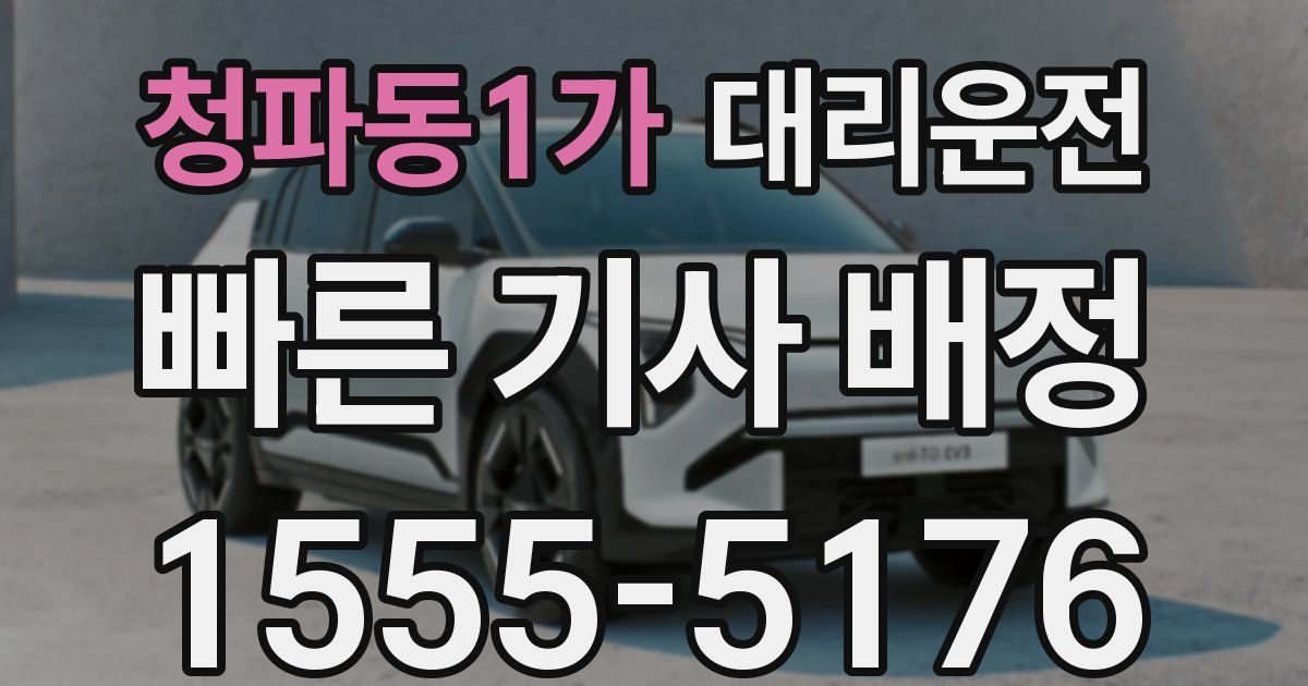일일대리기사