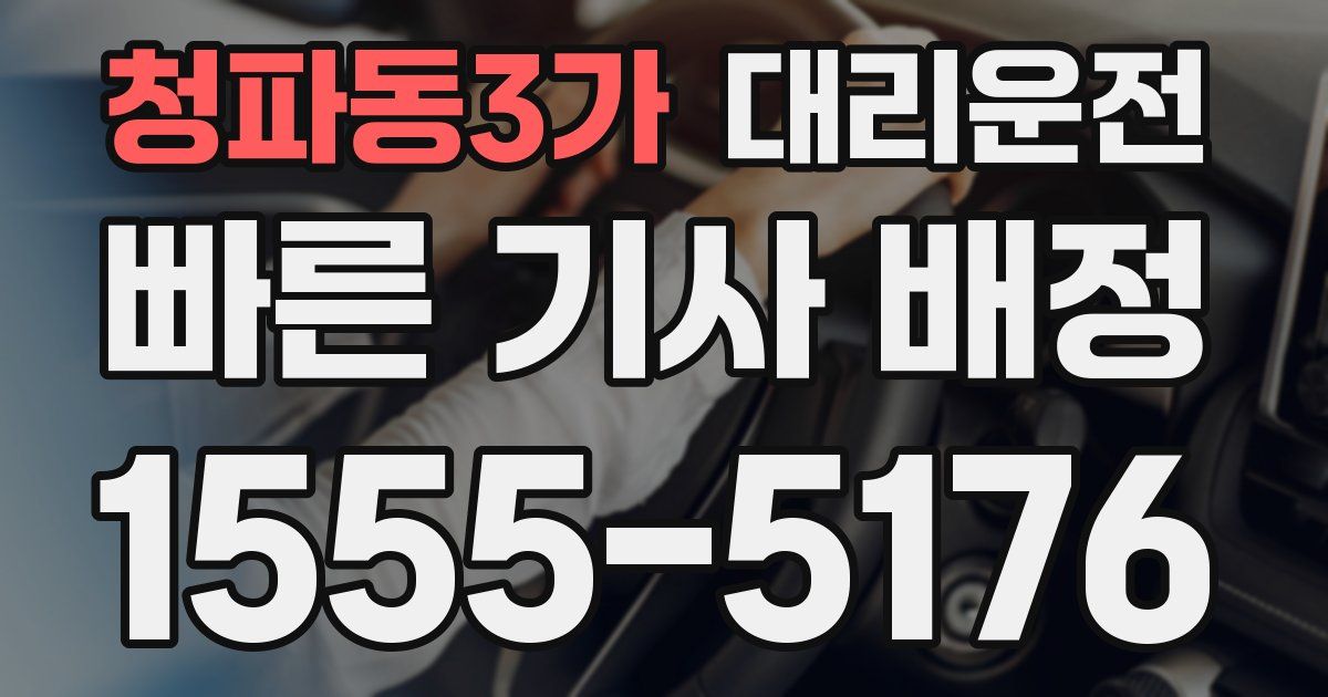 일일대리기사