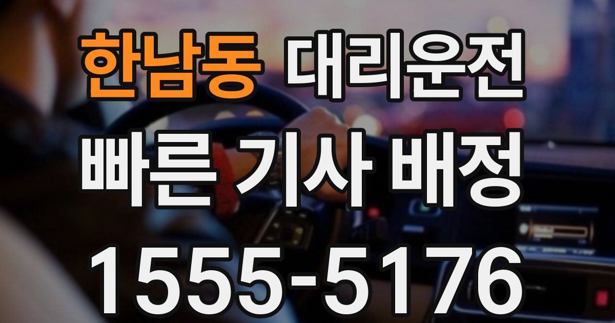 일일대리기사