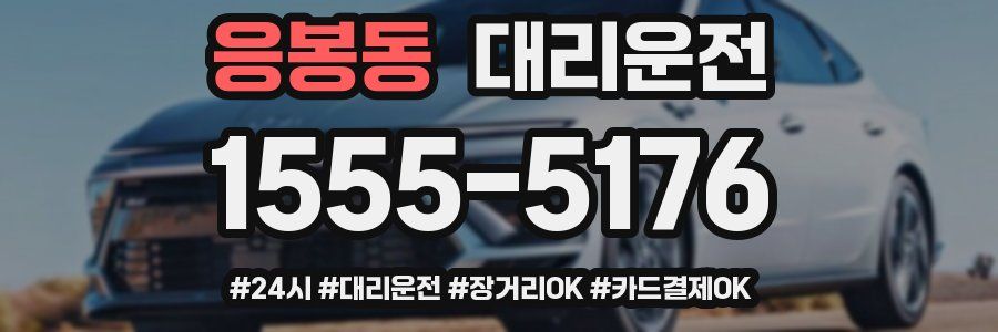 응봉동 대리운전