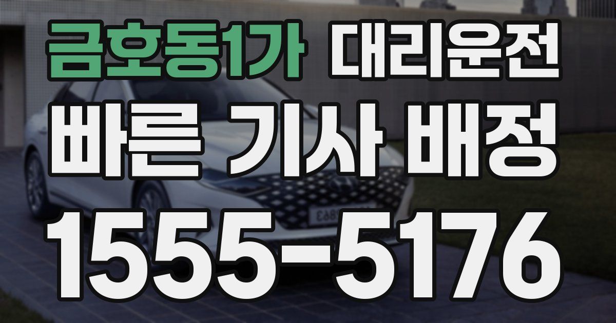 일일대리기사