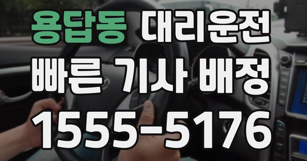 일일대리기사