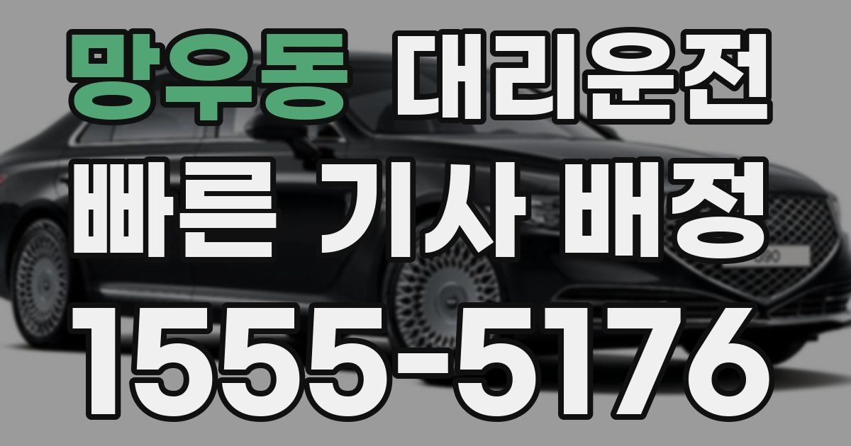 일일대리기사