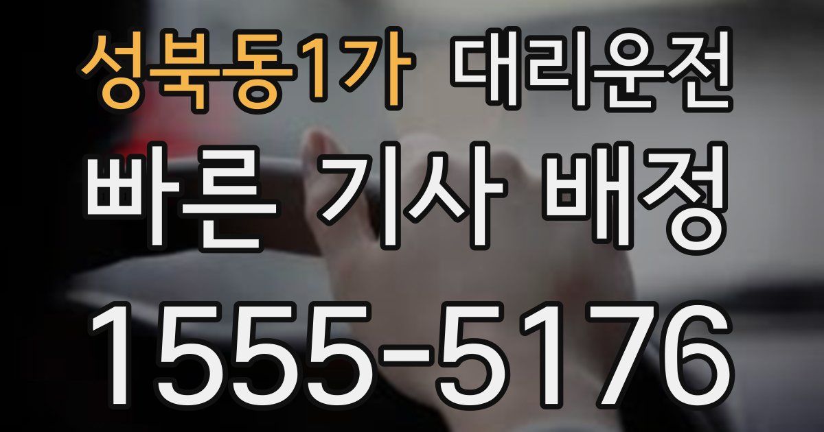 일일대리기사