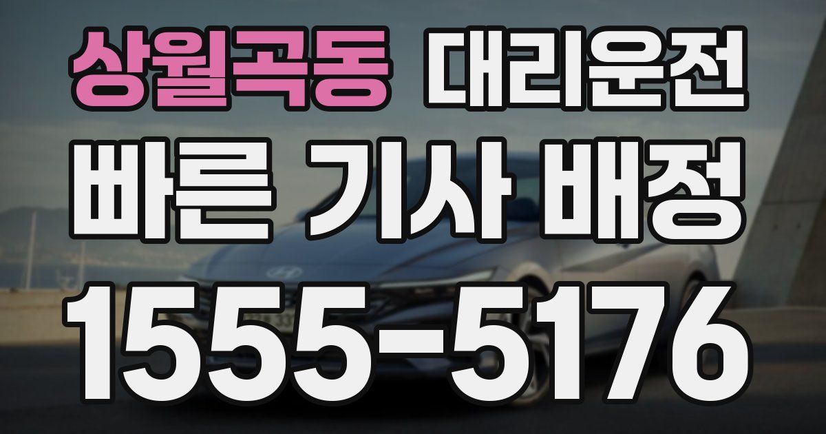 일일대리기사