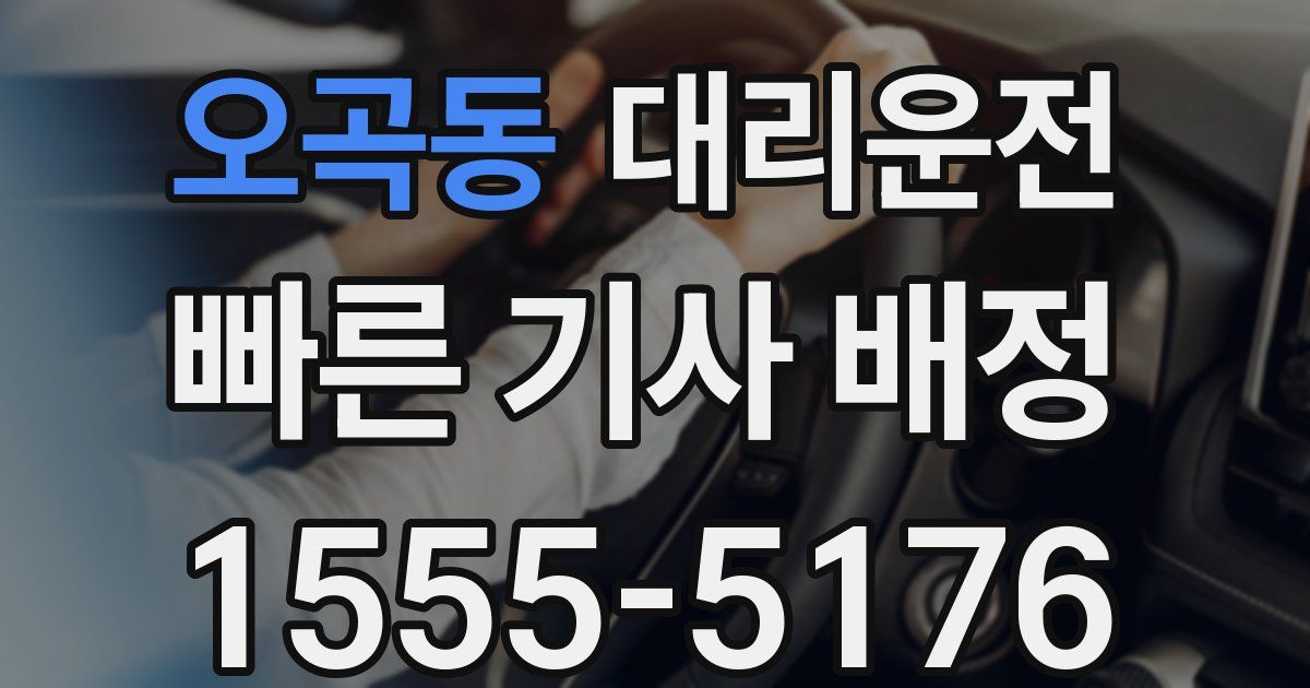일일대리기사