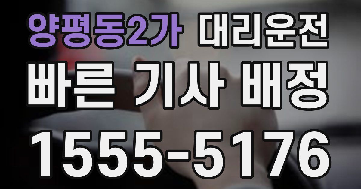일일대리기사