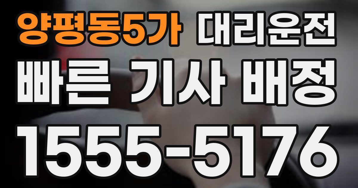일일대리기사