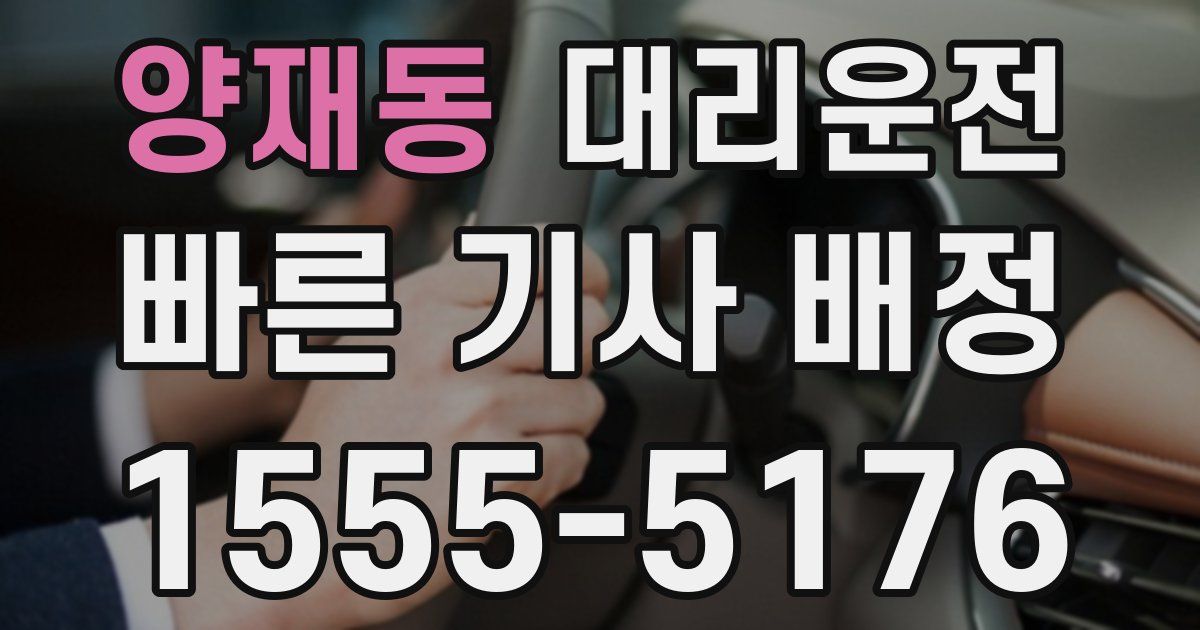 일일대리기사