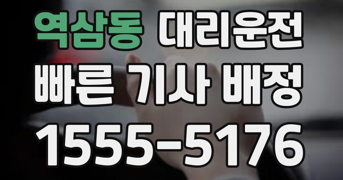 일일대리기사