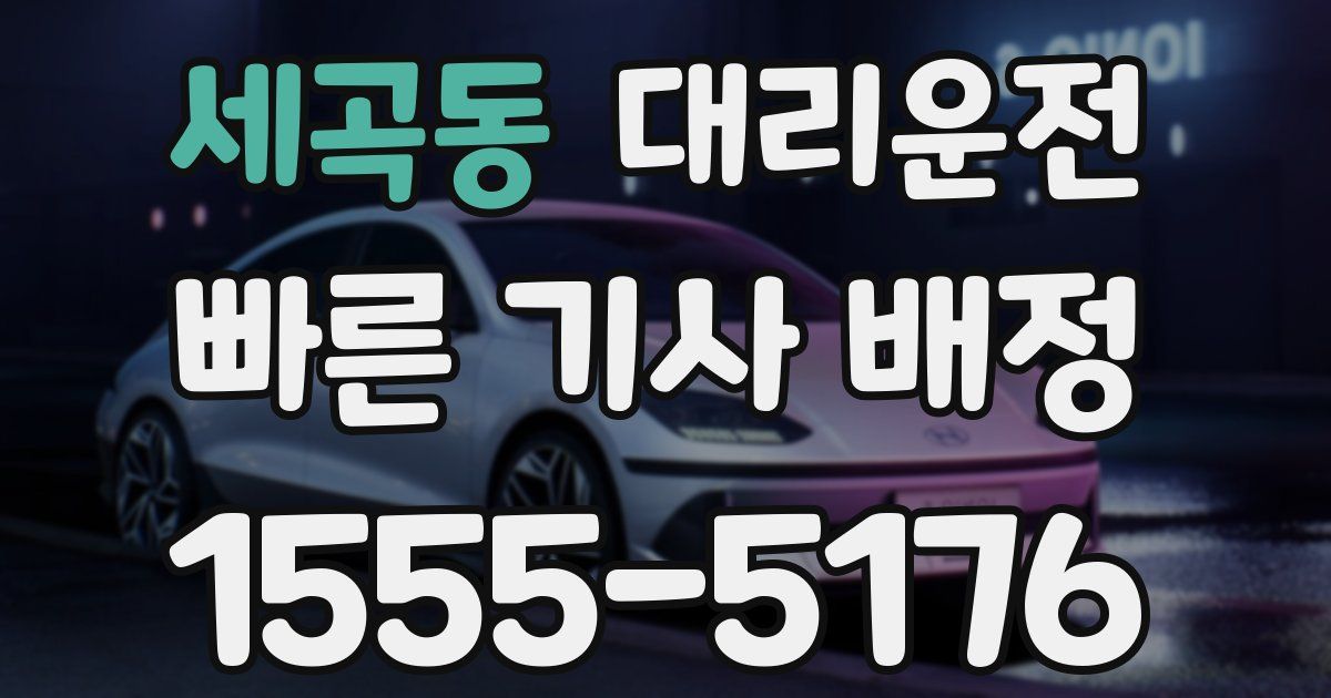 일일대리기사