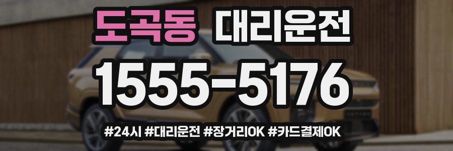 도곡동 대리운전